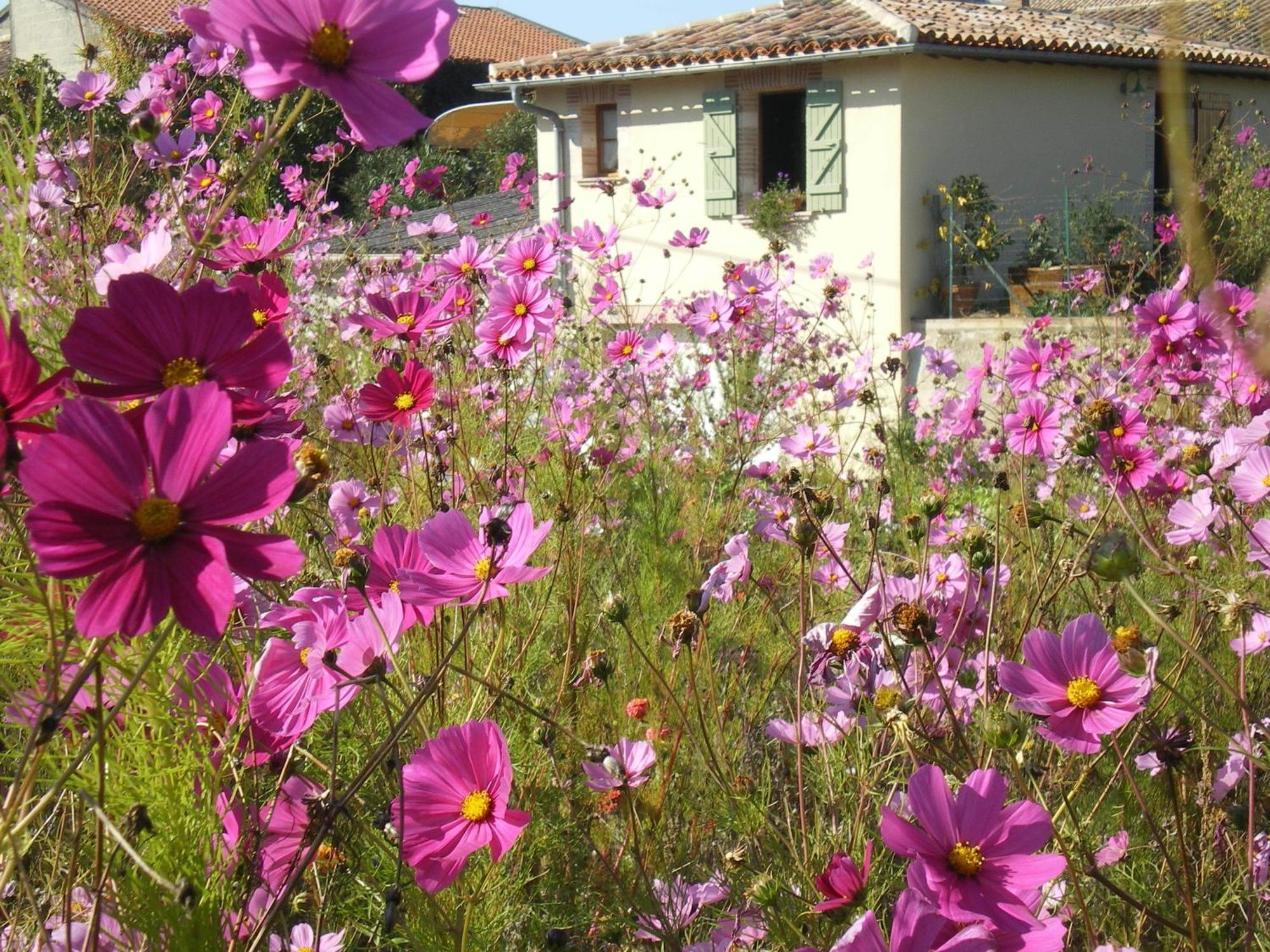 Le Poulailler Villa Lavit Buitenkant foto